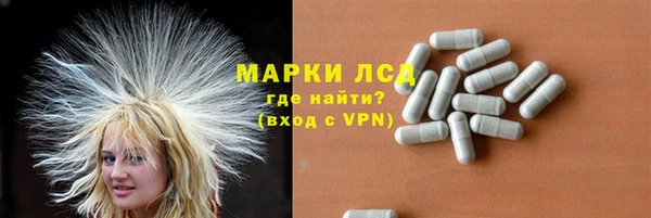PSILOCYBIN Алзамай