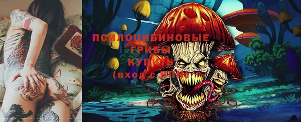 мдпв Заволжск
