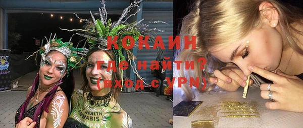 PSILOCYBIN Алзамай