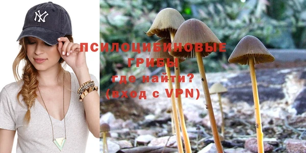 PSILOCYBIN Алзамай