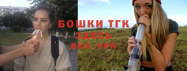 PSILOCYBIN Алзамай