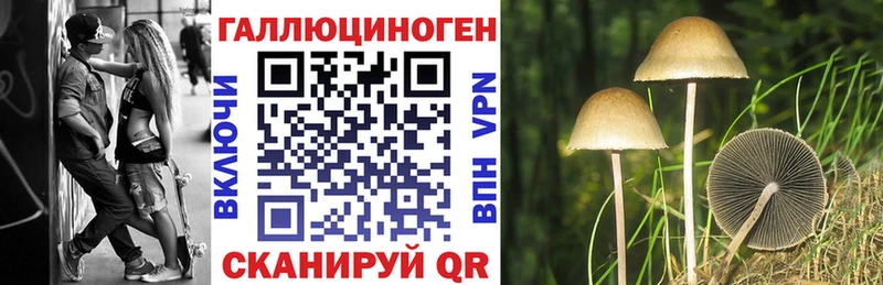Псилоцибиновые грибы Psilocybine cubensis  Богучар 